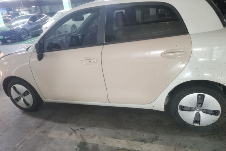 欧拉黑猫 2022款 301km 萌宠版 磷酸铁锂车身外观6003