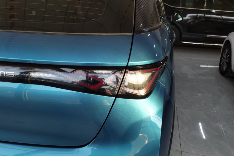 比亚迪 海豚 2021款 401km 骑士版车身外观9