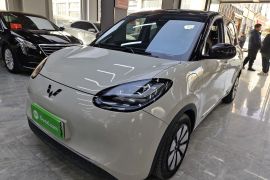 五菱汽车 五菱缤果 2023款 333km 灵犀互联+款