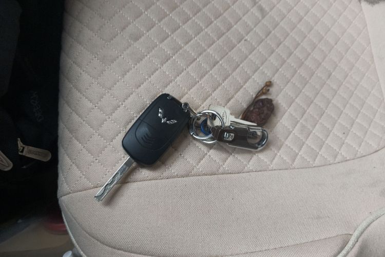 五菱汽车 五菱缤果 2024款 203km 轻享款中控内饰11