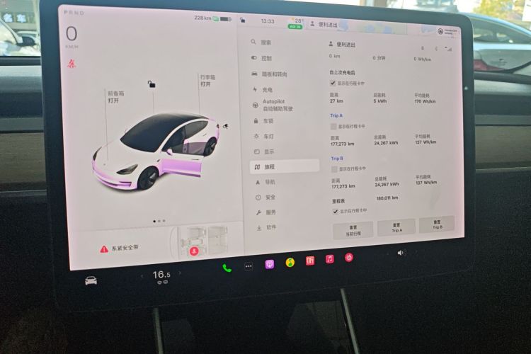 特斯拉 Model 3(进口) 2019款 标准续航后驱升级版(60度)中控内饰14