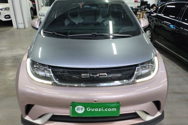 比亚迪 海豚 2023款 401km 骑士版车身外观2