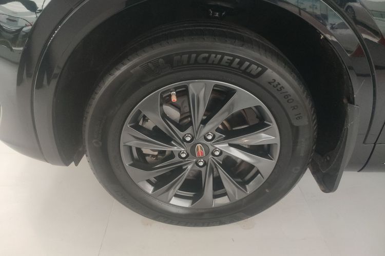 红旗HS5 2023款 2.0T 旗享Pro版车身外观6007