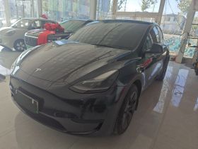 特斯拉 Model Y 2024款 后轮驱动版