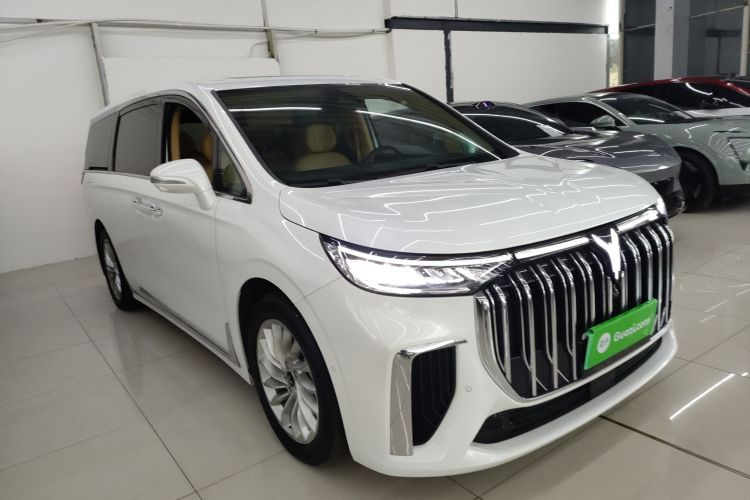 岚图汽车 岚图梦想家 2024款 PHEV 超长续航尊贵版车身外观6002