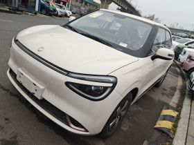 东风纳米 纳米01 2024款 焕新版 330 Air