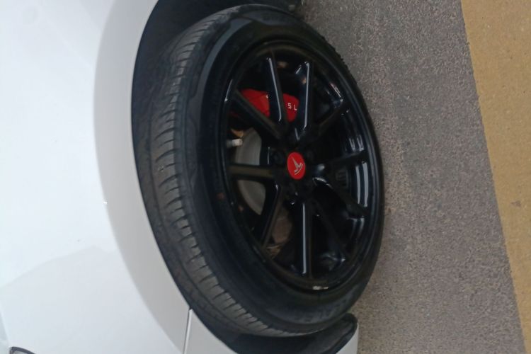 特斯拉 Model 3 2019款 标准续航后驱升级版车身外观6002