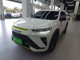 哈弗H6S 2022款 2.0T 两驱悦跑版