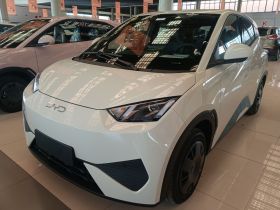 比亚迪 海鸥 2025款 智驾版 305km 活力版