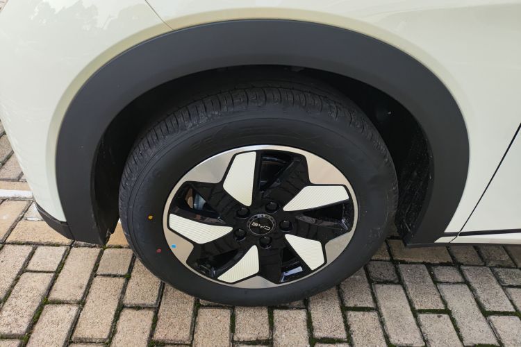 比亚迪 海豚 2025款 420km 自由版车身外观6007