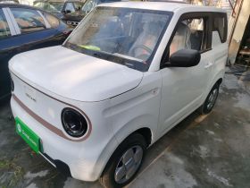 吉利银河 2024款 熊猫mini 200km 耐力熊