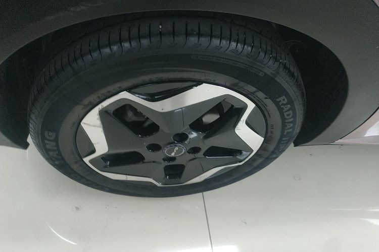 比亚迪 海豚 2021款 405km 时尚版车身外观6008