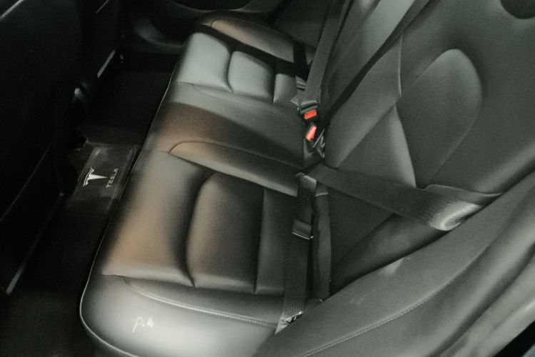 特斯拉 Model 3 2020款 改款 标准续航后驱升级版中控内饰7004
