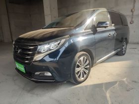 广汽传祺 传祺M8 2018款 320T 旗舰版