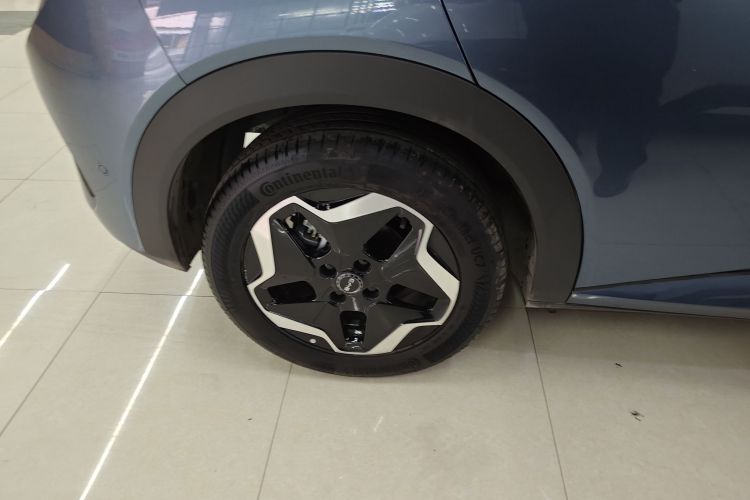 比亚迪 海豚 2025款 智驾版 420km 自由版车身外观6008