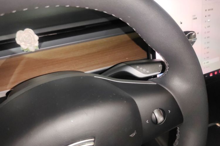 特斯拉 Model 3 2020款 标准续航后驱升级版中控内饰18