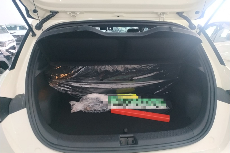 比亚迪 海豚 2025款 420km 自由版局部细节23