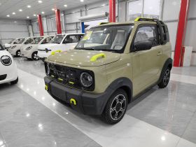 吉利银河 2025款 210km 熊猫骑士