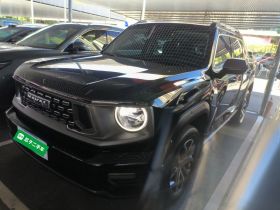 哈弗大狗 PLUS 2023款 2.0T 两驱潮野版Plus