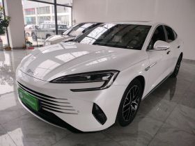 比亚迪 海豹 2023款 DM-i 1.5L 121km 尊贵型