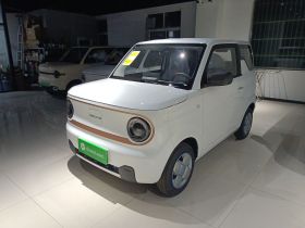 吉利银河 2024款 熊猫mini 200km 耐力熊