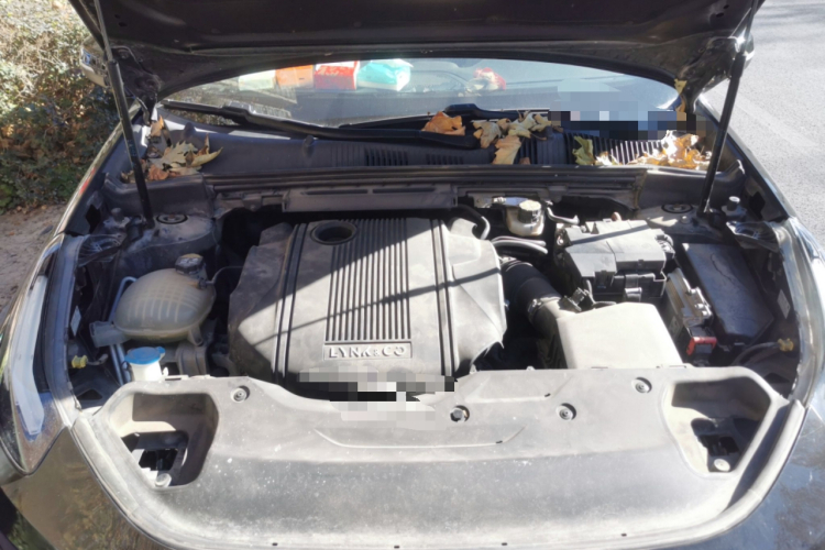 领克03 2019款 1.5TD DCT劲版 国VI局部细节24