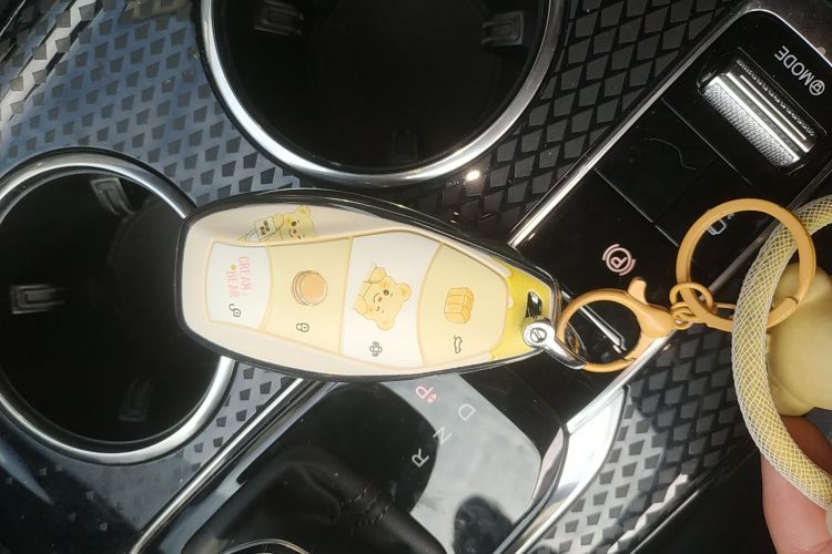 红旗HS3 PHEV 2024款 PHEV 115km 劲为版中控内饰11