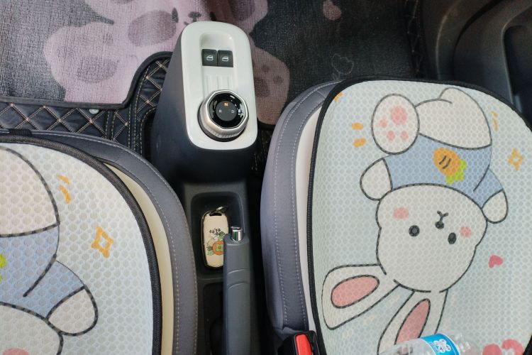 吉利银河 2024款 熊猫mini 200km 龙腾版中控内饰18