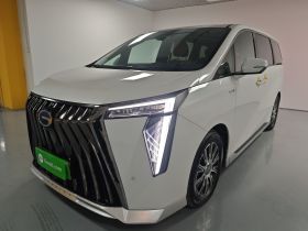 广汽传祺 传祺E9 2024款 E9 冠军版