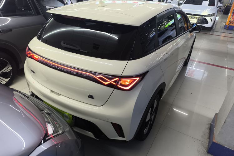 比亚迪 海豚 2023款 420km 自由版车身外观7