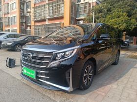 广汽传祺 传祺M8 2021款 领秀系列 390T 尊享版