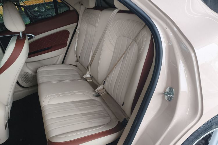 欧拉好猫 2023款 401km标准续航 尊贵型 磷酸铁锂中控内饰21