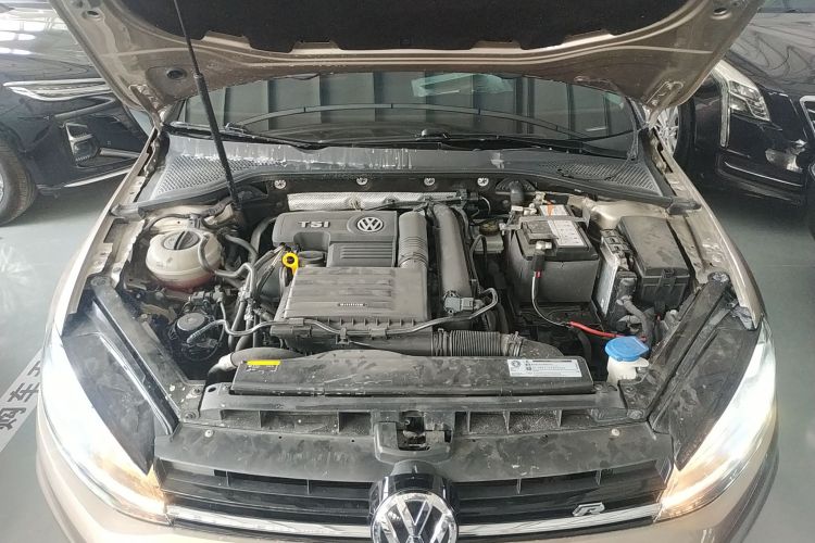 大众 高尔夫 2019款 280TSI DSG舒适型 国VI机舱底盘24