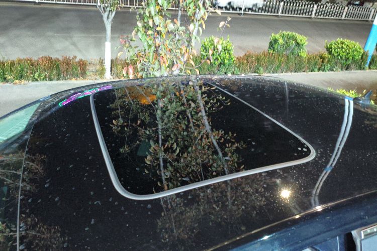 大众 朗逸 2019款 1.5L 自动舒适版 国VI局部细节57