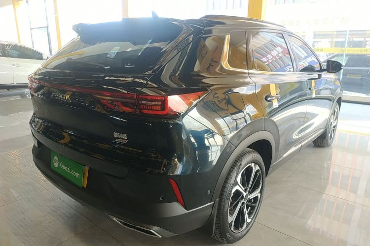 东风风神 皓极 2022款 马赫动力 1.5T 敢爱版车身外观7