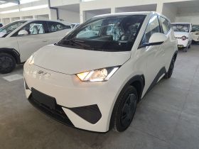 比亚迪 海鸥 2025款 305km 活力版