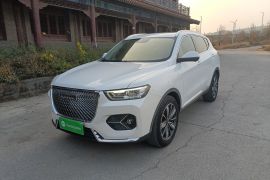 哈弗H6 2021款 1.5GDIT 自动冠军版