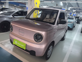 吉利银河 2024款 熊猫mini 200km 耐力熊