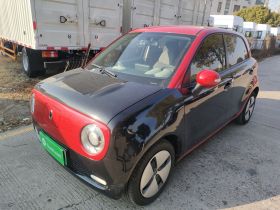 欧拉黑猫 2019款 301km 标准版