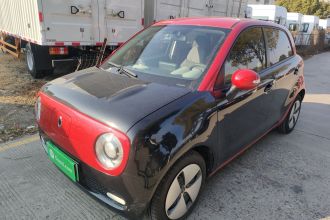 欧拉黑猫 2019款 301km 标准版