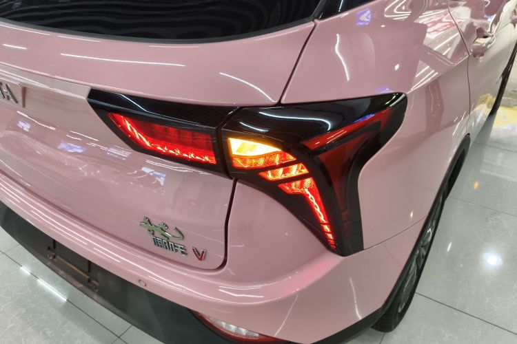 哪吒汽车 哪吒V 2021款 魔女版车身外观9