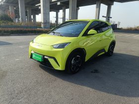 比亚迪 海鸥 2023款 飞翔版