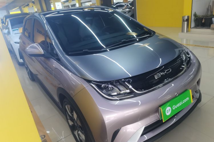 比亚迪 海豚 2021款 401km 骑士版车身外观6002