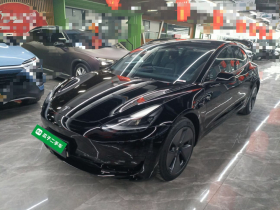 特斯拉 Model 3 2021款 标准续航后驱升级版 3D6