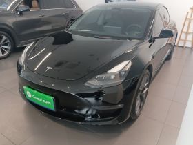 特斯拉 Model 3 2021款 Performance高性能全轮驱动版