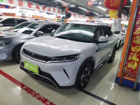 比亚迪 元UP 2024款 401KM 超越型