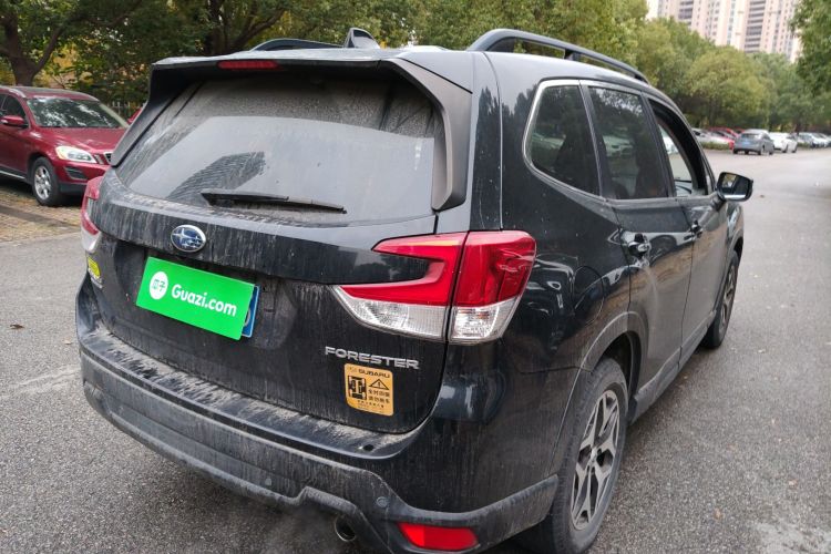 斯巴鲁 森林人 2019款 2.0i 豪华版EyeSight车身外观7