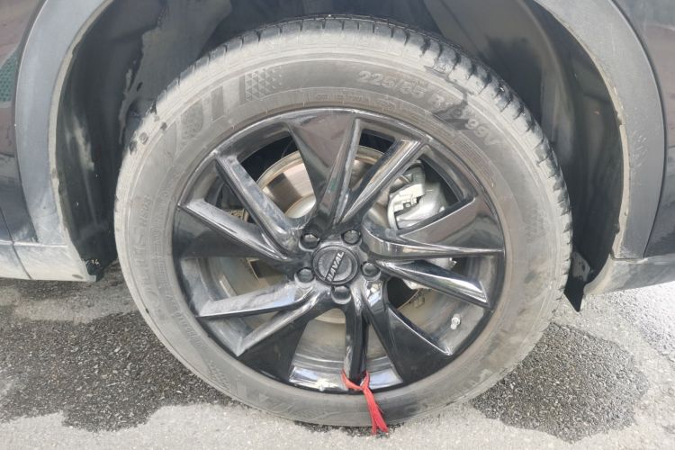 哈弗H6 2024款 2.0T 两驱Max车身外观10