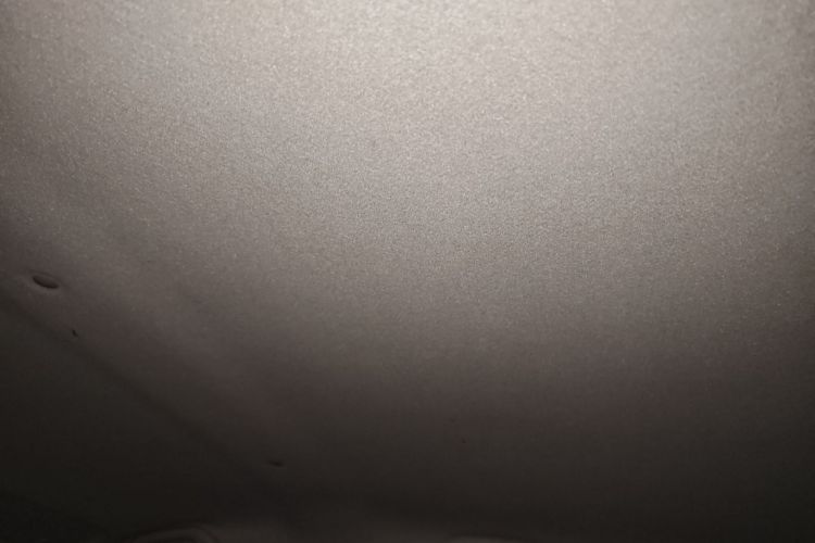 思皓 2022款 花仙子款 四叶草局部细节22