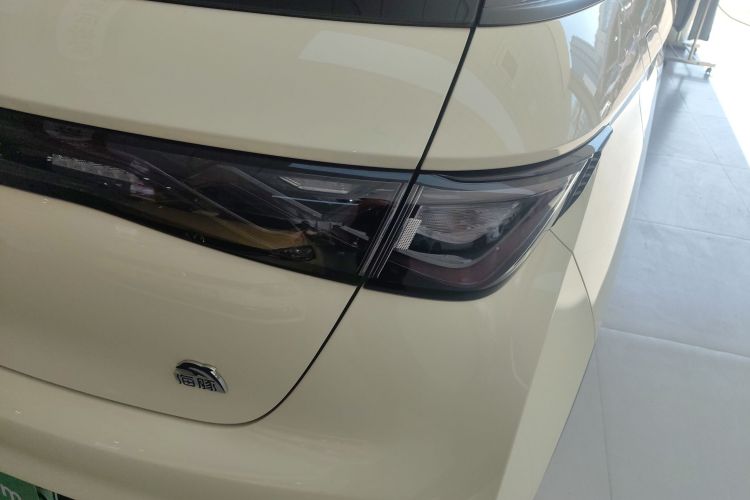 比亚迪 海豚 2023款 420km 时尚版车身外观9